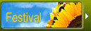 Festival