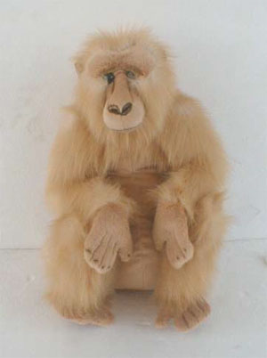 Monkey - 18