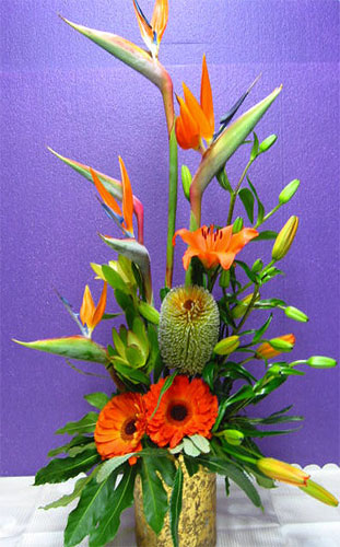 Extravagant Orange - Strelitzia,  orange asiatic lillies, orange gerberas and protea combine to delight the eye with this elegant design.<br><br>Code:554-3325-554-0000062371