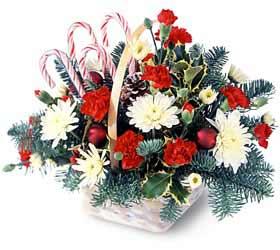 Candy Cane Lane?Bouquet - A holiday traditional best seller! Here's a delightful way to kindle the holiday spirit with a festive array of white and red flowers such as carnations and pompons and greens adorned with candy canes.<br><br>Code:826-1915-826-0000091694