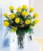 A Dozen Yellow  Roses