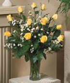 Yellow Roses