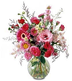 Splendid Day Bouquet - A beautiful display of scintillating pink and fuchsia blooms. Flowers include a mini gerbera daisy, spray roses, lisianthus and more.<br><br>Code:804-6118-804-0000059608