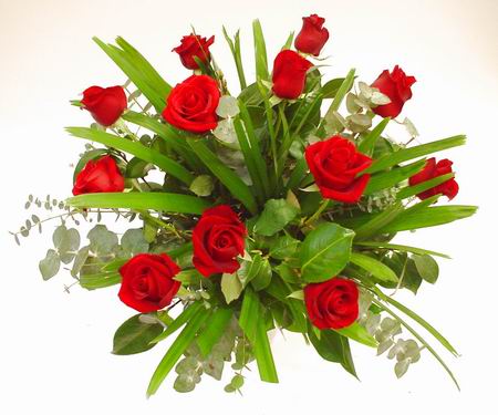 LONG-STEMMED ROSES - A fresh bouquet of roses arranged in lush foliage and wrapped in beautifully coloured paper. This bouquet sends the time-honoured message of love to that special person in your life and will not be easily forgotten. Not availible for delivery 7th-14th Feb. For these dates please select a Valentine's Day product.<br><br>Code:036-5120-036-0000076771