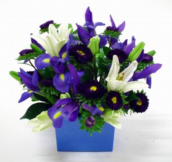 BABY BOY BOX - A stunning box filled with blue and white flowers. These flowers are perfect to celebrate the birth of a new boy. Delivered fresh to say congratulations.<br><br>Code:036-9893-036-0000076728