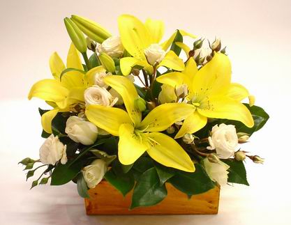 BEAUTIFUL BABY - This boxed arrangement in a gender-neutral colour is perfect to welcome either a girl or a boy.<br><br>Code:036-3640-036-0000076733