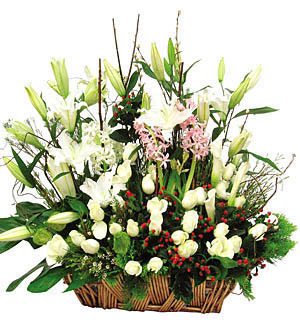 Warmest Support - Comforting a friend, letting him knowing that you are with him. Comprises of a basket of Roses and Lilies.<br><br>Code:458-6847-458-0000109257
