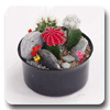 Florist  HeiHe Florist Hei He Florist:FAD02