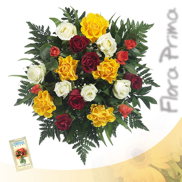 Bouquet of Mixed Roses - Includes: roses, 6 leather leaf ferns, plenty of greens, 1 package of flower nutrients and nursing instructions. Aprox. 50 cm long.<br><br>Code:056-824-056-0000097352