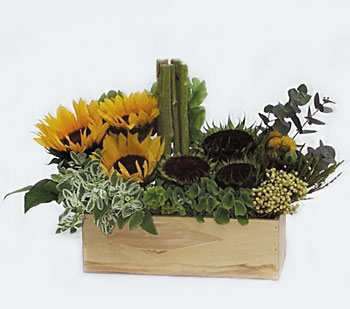 Sunny garden - Cheerful experience with new achivement, to brighten one's day with this special arrangement.<br><br>Code:702-4915-702-0000069429