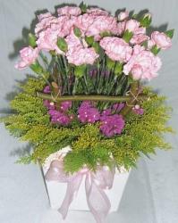 Happy Mum