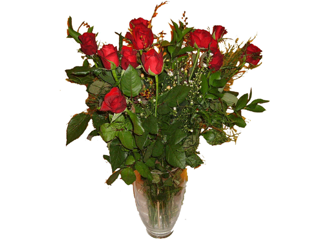 Romantic Delight ( 12 Roses )