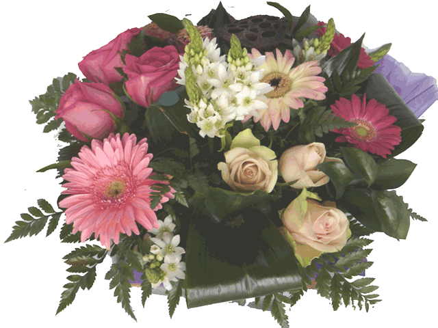 Nature's Gift - Bringing a bit of nature into your home.<br><br>Code:710-1877-710-0000100355