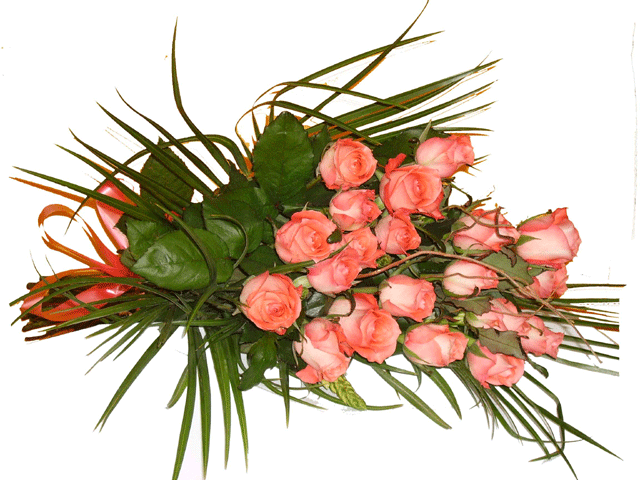 Pink Adoration ( 12 Roses )