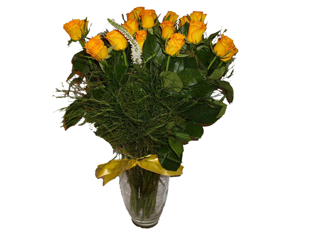 Sunshine Deluxe ( 12 Roses )