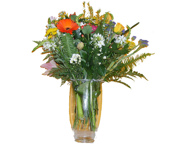 Country Meadow (Medium) - This pot of flowers will bring the countryside right to your doorstep.<br><br>Code:710-9315-710-0000098716