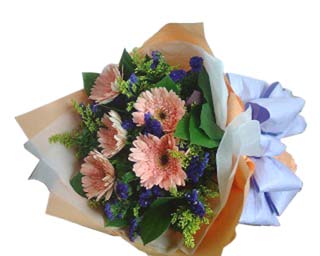 Gerbera Bouquet - 5pcs Gerbera Bouquet<br><br>Code:344-4154-344-0000063911