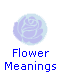 Flower Meanings