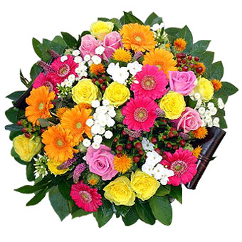 http://image.localstreets.com/StoreBuilder/lilleflower/lilleflower-fr/9992b.jpg