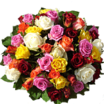 Rosissimo