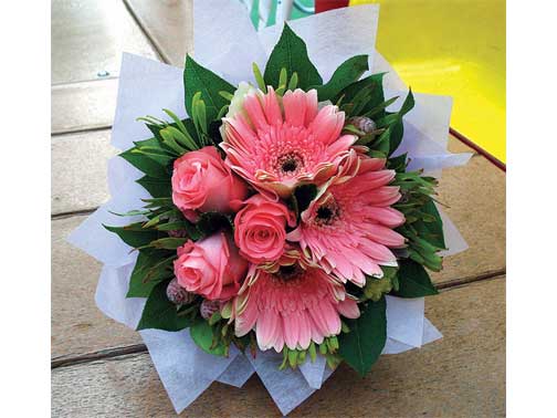 Tickled Pink - <br><br>Code:702-5173-702-0000098119