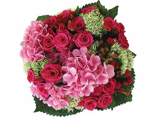 Pretty In Pink - Pink hydrangea, fuchsia super roses, wild flowers,
ammi majus and foliage.
Contents may vary depending on availability.<br><br>Code:702-1759-702-0000098130