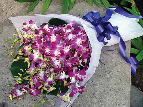 Island Breeze - Purple dendrobium orchids and foliage.
Contents may vary depending on availability.<br><br>Code:702-5235-702-0000098133
