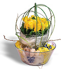 Yellow roses group arrangement in glass pot - Delivery fee for Turkey and 18% VAT are included in the product price. 
For deliveries to adresses within city boundries everywhere in Turkey, you will not have to pay extra delivery price.<br><br>Code:792-2450-792-0000099226