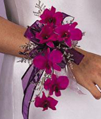 Purple Dendrobium Wrislet