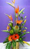 Extravagant Orange