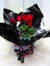 Cyclamen