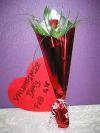 Single Rose