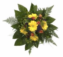 Golden Harmony - Mixed bouquet with gerberas, throatwort, roses, hypericum, hare's ears, star of bethlehems and green

Country of Delivery: Germany

Contains: Yellow Gerberas, Blue Throatworts, Orange Roses, Hypericum, Hare's Ears, Star of Bethlehems and greenery. (Contents can vary.)<br><br>Code:056-5272-056-0000068514