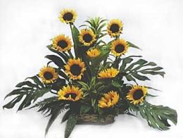 Brighten - <br><br>Code:702-3511-702-0000056170