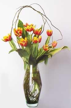 Tulips - Consist of 10 Yellowish Orange Tulips Other available colours are Pink, Purple, Red, Orange, White and Yellow (H 18
