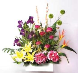 Floral Passion - H 33