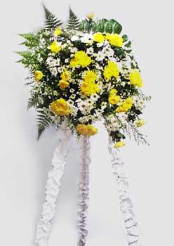 Cherish - approximate height, 2m<br><br>Code:702-9890-702-0000056141