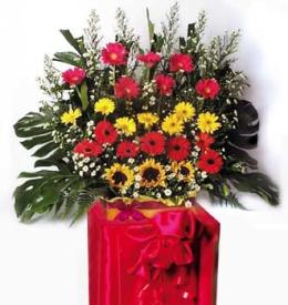 Glorious Moments - <br><br>Code:702-4104-702-0000056120