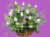 18 Steams Roses Basket
