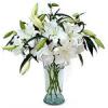 6 Steams Lillies in Vase