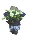 Lillies Bouquet