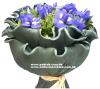 Iris Bouquet