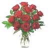 Dozen Roses in Vase