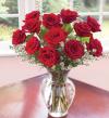 Rose Elegance