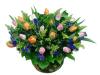 Tulips Basket