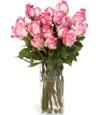 Dozen Long Steam Roses