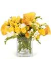 Dozen Roses in Square Vase