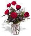 Half Dozen Roses in Vase