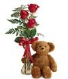 I Love You with Teddy Bear